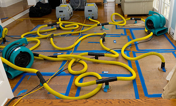 Professional Basement Flood Cleanup technician working in Woodside, NY